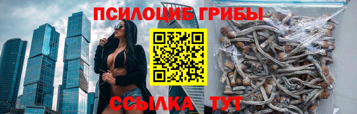 Тихорецк  Псилоцибиновые грибы Psilocybe  Галлюциногенные грибы GOLDEN TEACHER  Вход с VPN 