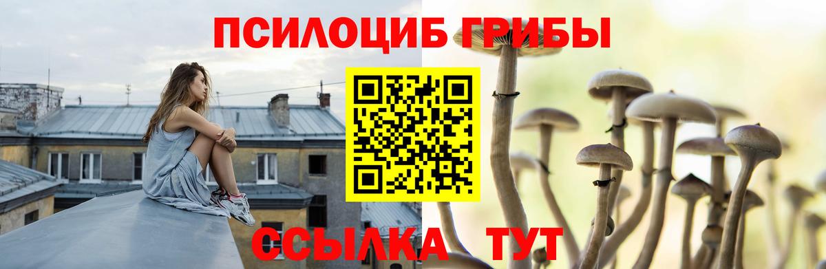 Псилоцибиновые грибы прущие грибы Тихорецк